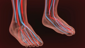 Foods That May Help Poor Circulation